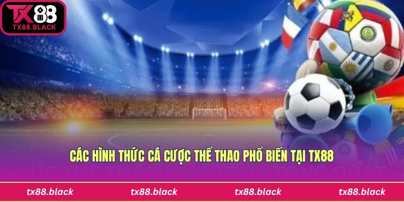 Các loại hình phổ biến trong cá cược thể thao