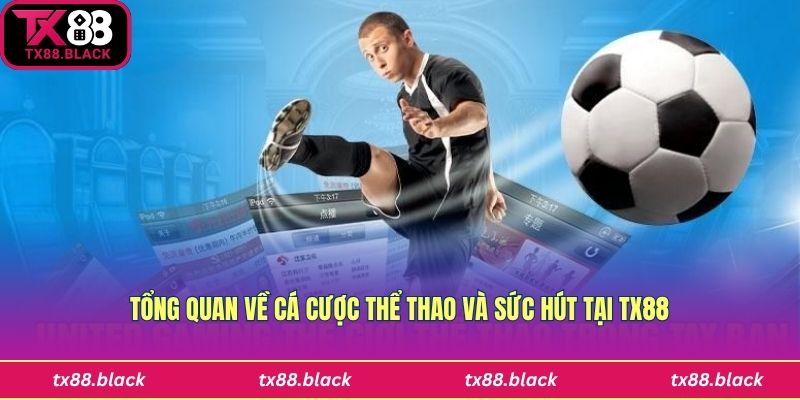 Tìm hiểu về cá cược thể thao chi tiết