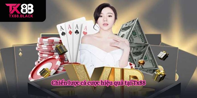 Cách đặt cược tại Tx88