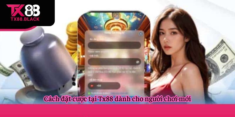 Các hình thức phổ biến