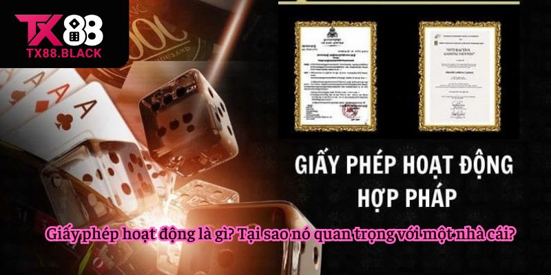 Giấy phép hoạt động là gì?