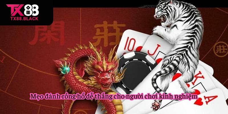 Mẹo đánh rồng hổ