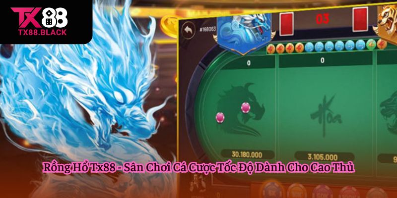 Rồng hổ Tx88