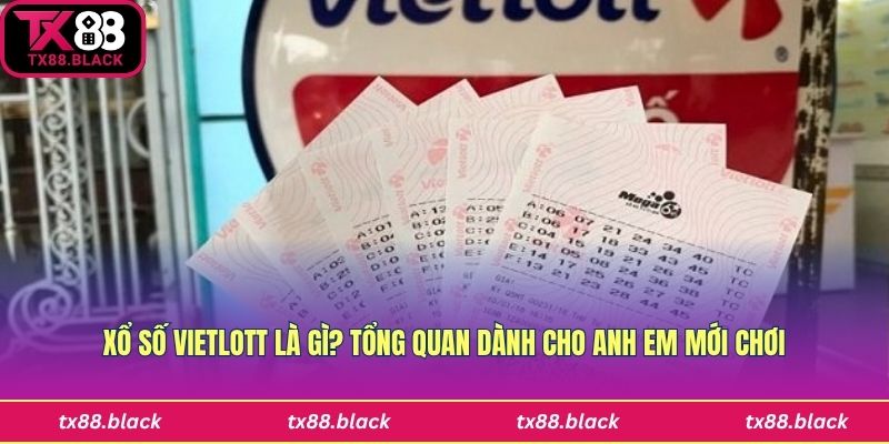 Tổng quan về xổ số Vietlott online